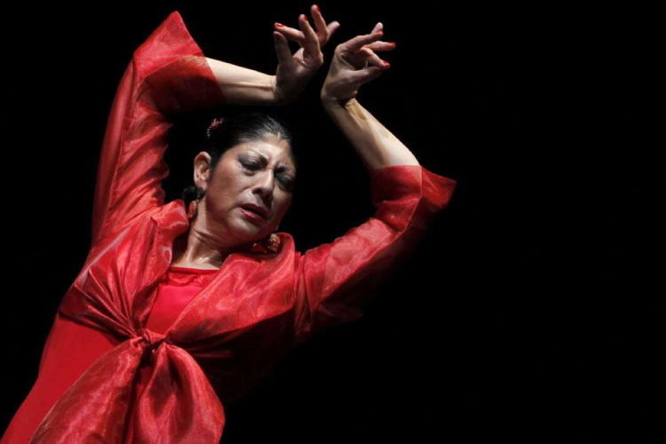 Flamenco4