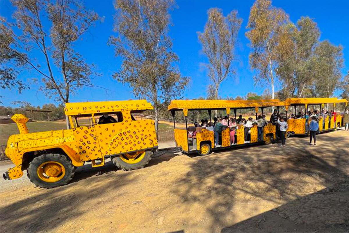 La_Reserva_Educacion_Tren