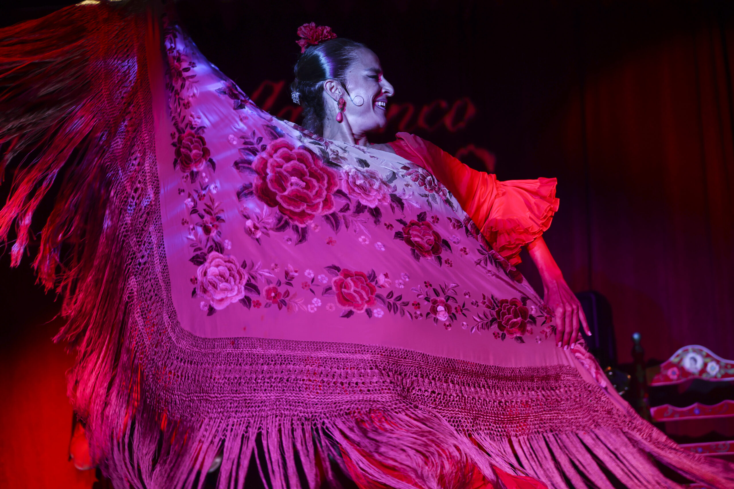 ALEGRÍAS2
